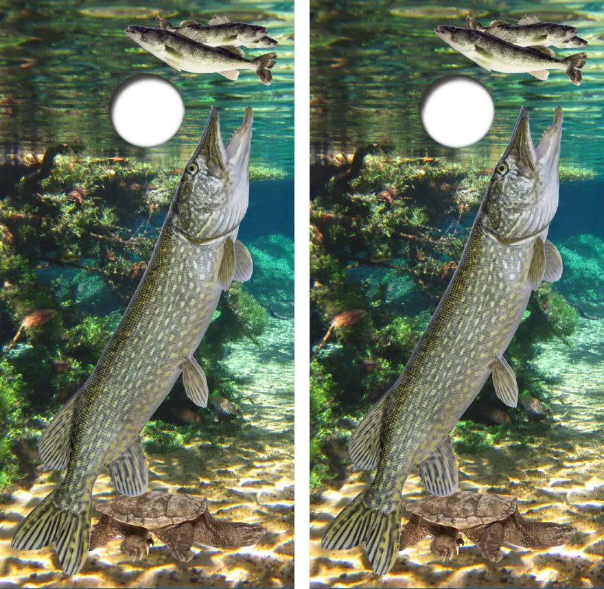 Northern Pike Attacking Walleye Cornhole Wrap Decal with Free Laminate Included Ripper Graphics
