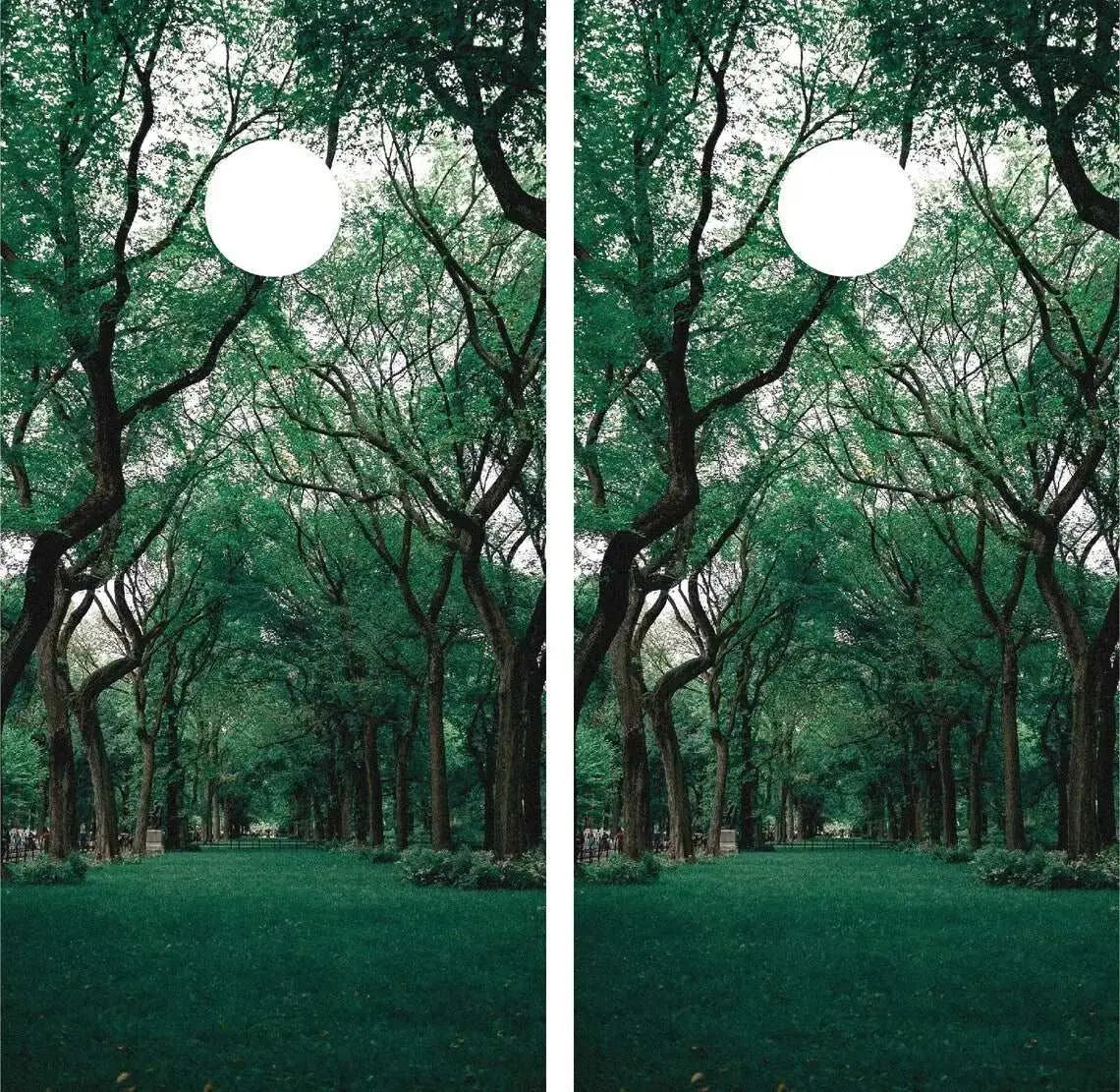 Wooded Forests Cornhole Vinyl Wraps & Cornhole Boards (2 Pack) R2016 KT Cornhole