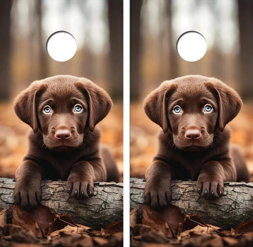 Cute Chocolate Labrador Retreive Puppy Cornhole Wood Board Skin Wrap Ripper Graphics