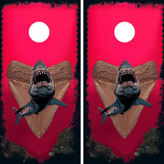 KT Cornhole - Great White Shark laminated Cornhole Vinyl Wraps / Sticker KT Cornhole Wraps and Boards