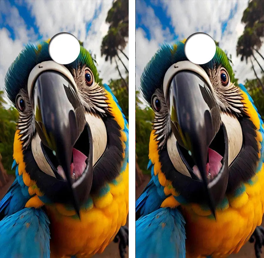 Parrot Selfie Cornhole Wood Board Skin Wrap Ripper Graphics