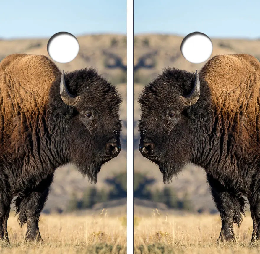 American Bison/Buffalo Cornhole Wrap Decal with Free Laminate Included Ripper Graphics