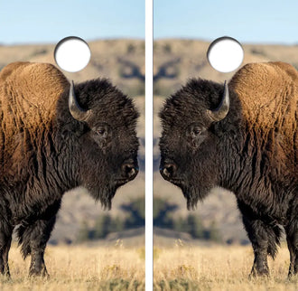 American Bison/Buffalo Cornhole Wrap Decal with Free Laminate Included Ripper Graphics