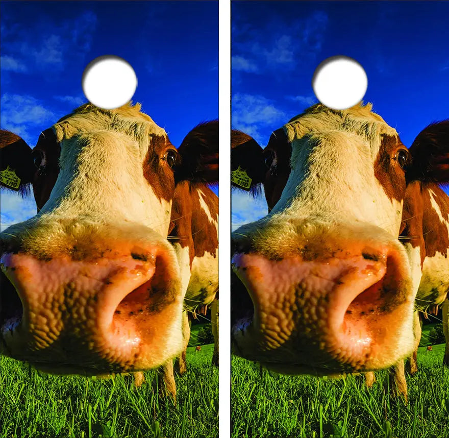 Happy Nosey Cow Cornhole Wrap Decal with Free Laminate Included Ripper Graphics