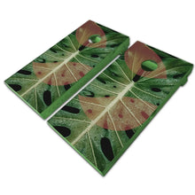 Load image into Gallery viewer, &quot;Jungle Leaf Cornhole Vinyl Wraps &amp; Cornhole Boards (2 Pack) S4018 KT Cornhole &quot;
