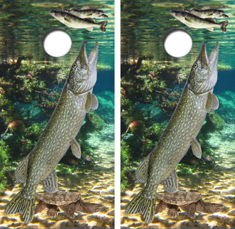 Northern Pike Attacking Walleye Cornhole Wrap Decal with Free Laminate Included Ripper Graphics