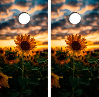 Sunflower Sunset Cornhole Wood Board Skin Wrap Ripper Graphics