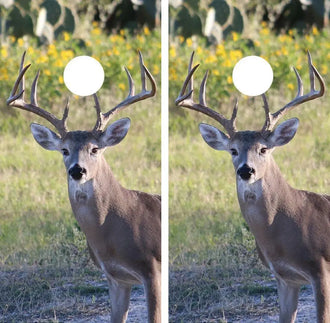 White Tail Deer Buck Cornhole Wood Board Skin Wrap Ripper Graphics